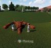 Solbjerg 3D-Design