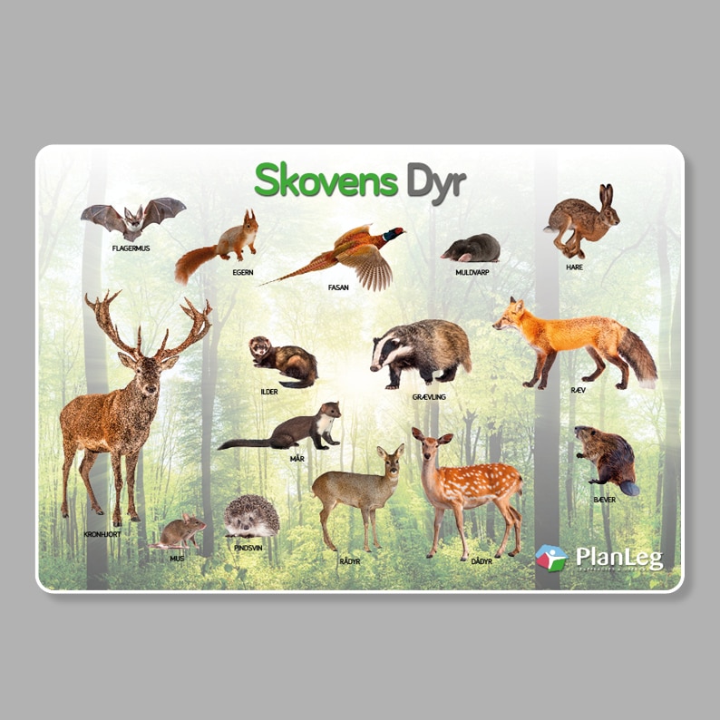 Læringstavle Skovens Dyr 150x100 cm Læringstavle Skovens Dyr 150x100 cm